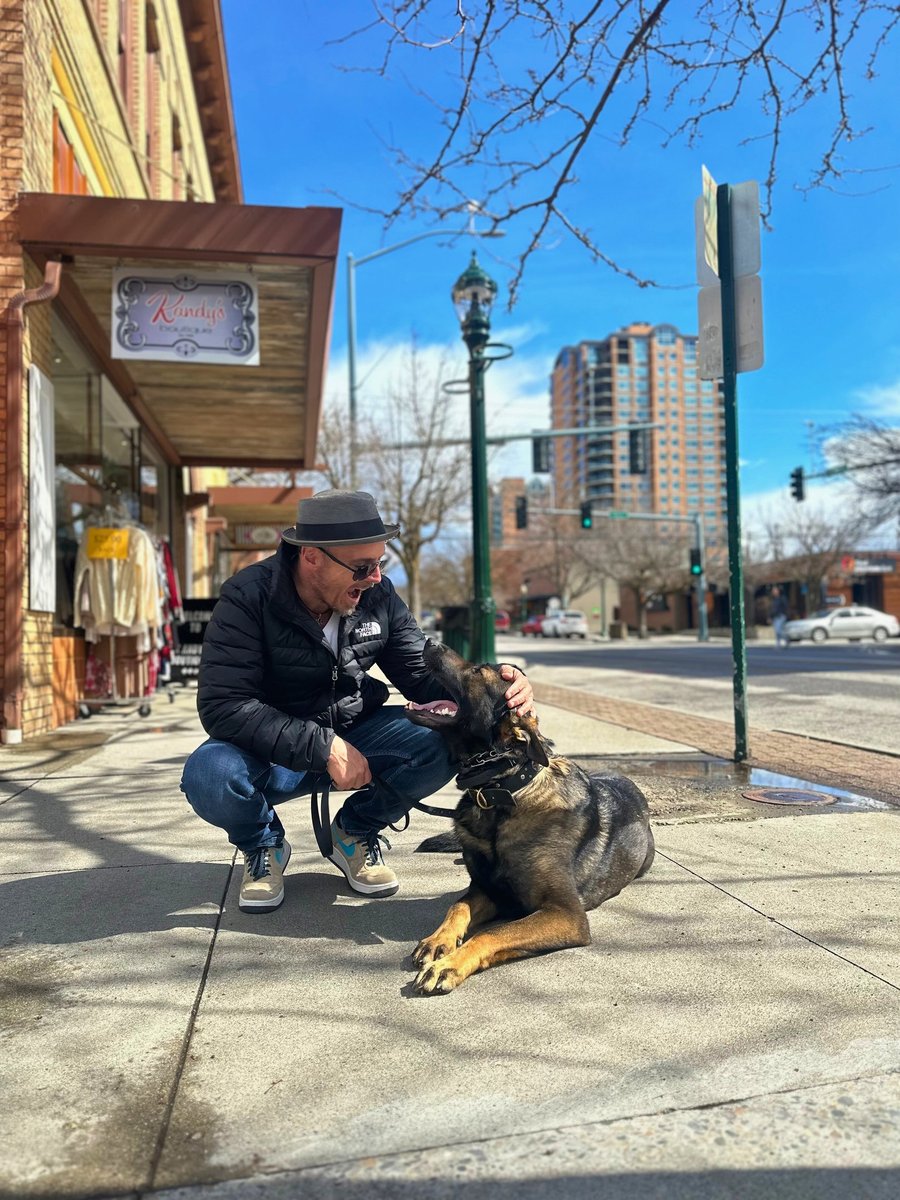 A trainer greeting a relaxed German shepherd lying calmly on a downtown Washington sidewalk